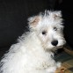 Con medio añito, su foto estrella